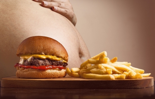 비만한 사람은 음식 섭취에 대해 반응하는 뇌 신경회로가 망가져 있을 수 있다. 체중을 줄이고 한동안 강한 의지로 줄어든 체중을 유지한다면 섭식 관련 뇌 회로는 정상으로 돌아온다.  픽사베이 제공