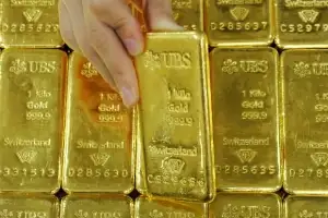 항문에 몰래…금괴 324㎏ 밀수 중간책 징역형에 100억대 벌금