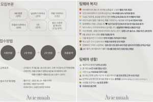 ‘열정페이 논란’ 강민경, 파격 채용공고 공개