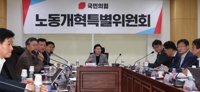15일 국회에서 열린 국민의힘 노동개혁특위 회의에서 임이자 위원장이 발언하고 있다. 연합뉴스