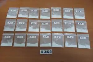 ‘강남 유명클럽서 집단 마약’…경기남부청, 클럽MD·투약자 무더기 검거