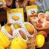 “대한민국 최고 명인의 과일 맛보세요”