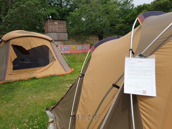 “으악” 캠핑하다 600명 죽고 다치고… 가장 조심해야 할 것