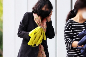 검찰, ‘경기도 법인카드 유용 의혹’ 배모씨에 징역 1년 구형