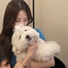 이나연, 반려견 환승?…파양 비판에 “개인 사정”