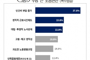 외국계 기업, 인건비 상승과 경직적 근로시간, 대립적 노사관계를 3대 현안으로 꼽아