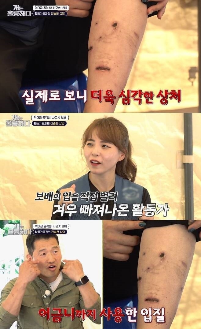 KBS 2TV ‘개는 훌륭하다’ 캡처