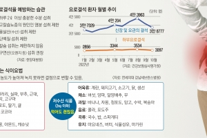 땀 나는 요즘, 옆구리 통증에 혈뇨… ‘요’녀석 뒀다간 돌 맞아요