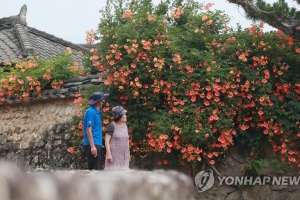 1만원 스노클링·산골 식도락·댕댕버스… 올여름엔 ‘이색 피서’