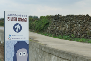 제주도 무형문화재 지정도 안됐는데…‘제주돌담 메쌓기’ 유네스코 인류무형유산 등재될까