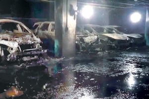 “벤츠·BMW 등 677대 태웠지만 어렵게 살아온 청년” 석방…‘법에도 눈물’