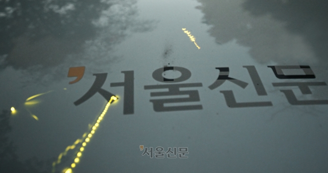 서울신문 취재차량 위에 반딧불이가 내려앉아 있다.