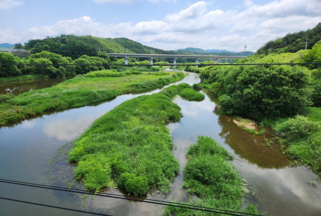 지난 13일 악어 추정 신고가 접수된 경북 영주 내성천 무섬교. 환경부