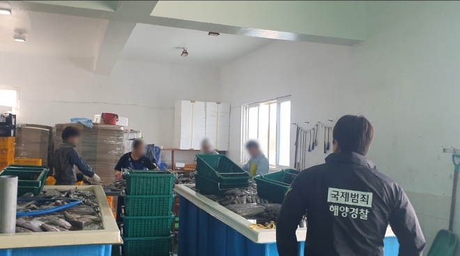 서귀포해양경찰서는 23일 오전 서귀포시 인근 수산물가공공장에서 불법으로 취업한 중국국적 남성들을 검거했다. 서귀포해양경찰서 제공