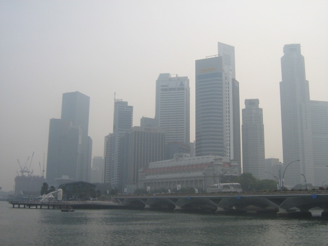 인도네시아가 원시림을 태우면서 발생한 물질이 이웃나라 싱가포르에 영향을 미치기도 한다. 싱가포르는 국가 간 분쟁을 피하기 위해 국내외 민간 단체를 통해 인도네시아 농민들을 위한 환경교육 프로그램 등을 진행했다. 위키피디아 제공