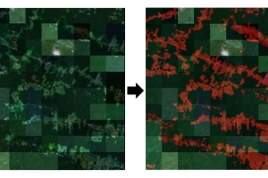 ‘구름 속 산림 파괴 영역 탐색’…한기대 연구팀, 산림 파괴 지역 탐지 세계 대회 1위