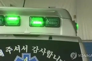 출퇴근에 쓰고 요금 뻥튀기… 민간 구급차 10대 중 6대 ‘위법’