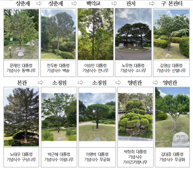 수목 탐방 프로그램 ‘대통령의 나무들’ 진행 순서