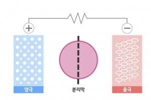 배터리 성장세 올라탄 K분리막 “2030년 국내 수요만 100억 달러”