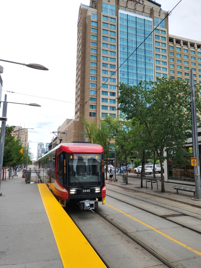 캐나다 캘러리 시내를 오가는 트램의 모습. 독자 제공