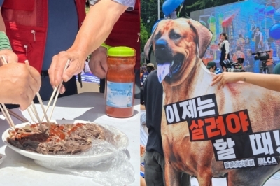 [법안톺아보기] “개 수난사 끝내자”…‘개 식용 종식법’ 이번에는?