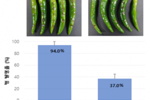 식물 탄저병 방제 ‘담수 세균’ 발견, 미생물농약 개발 등 추진