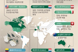 불치병 조력사망 인정하는 가톨릭 국가… ‘끝낼 권리’ 논쟁을 부르다 [금기된 죽음, 안락사①]