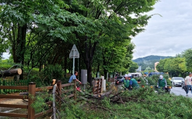 광주 북구청 관계자들이 지난 11일 오후 광주 북구 일곡3근린공원에서 폭우로 쓰러진 나무를 정리하고 있다. 연합뉴스