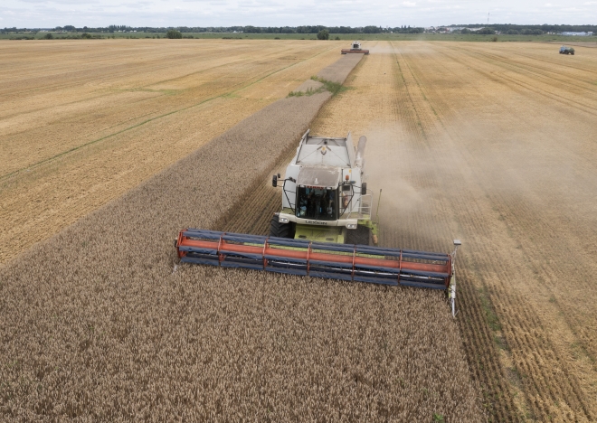 우크라이나 즈구리브카 마을에서 밀을 수확하고 있다. AP 연합뉴스
