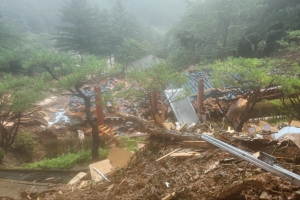논산시립 추모원 산사태 노부부 심정지…사촌 여동생 위독, 손자 중상