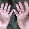 화물차 기사에 구조된 40대男… 물속 3명 끌어올려 극적 탈출