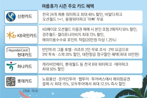 물 만난 카드… 워터파크·호캉스 비용 아껴요