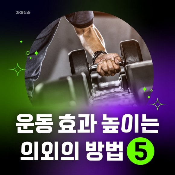 가지뉴스