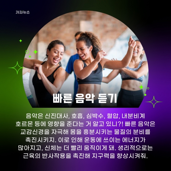 가지뉴스