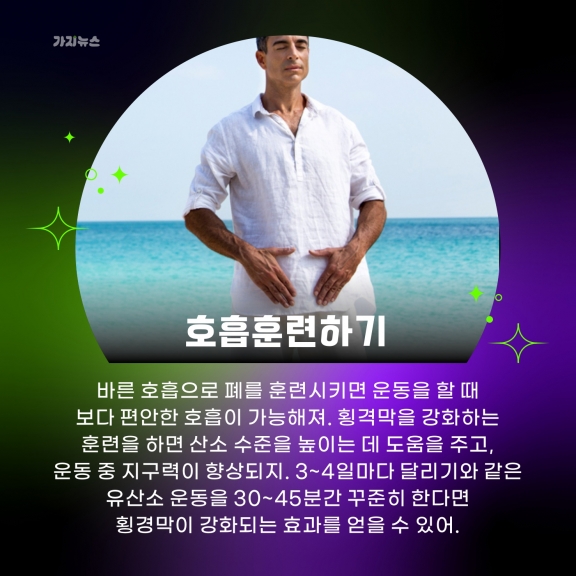 가지뉴스