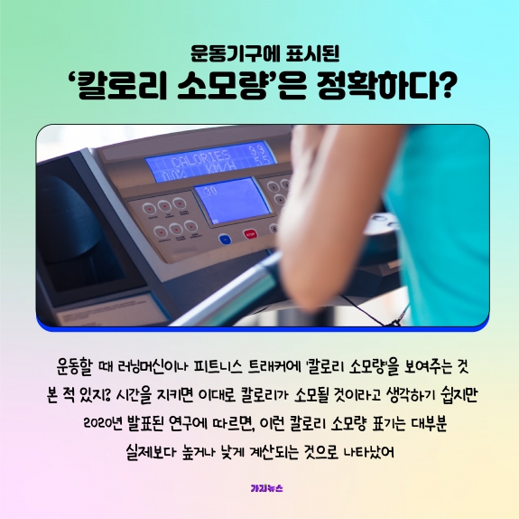 가지뉴스