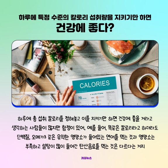가지뉴스