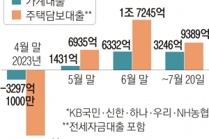 빚내서 집 사고 빚내서 빚 막기 ‘악순환’… 가계부채 폭탄 임계점