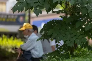 thumbnail - ‘아들 보험금 2억받고 도망간 며느리’ 노인 홀리는 우후죽순 AI발 콘텐츠…노년층 공략 조회수 장사