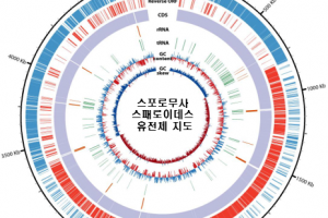 온실가스 분해 능력 갖춘 ‘자생 미생물’ 첫 확인