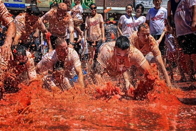 3년 전에 열린 화천토마토축제의 ‘황금 반지를 찾아라’ 이벤트에 참가한 외국인 관광객들이 40t의 파지 토마토가 투입된 체험장에서 금반지를 찾고 있다.  화천군 제공