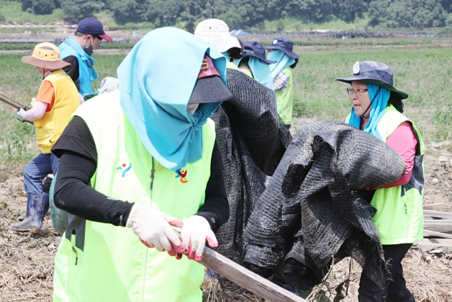 자원봉사자들이 지난 27일 괴산지역에서 수해복구 봉사활동을 펼치고 있다. 괴산군 제공