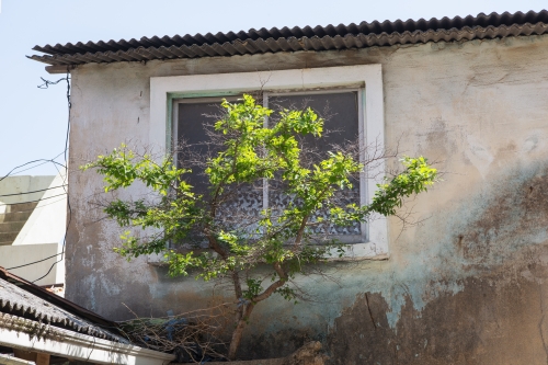 변해석, #15, Pigment ink on paper, 40 x 60cm, 2018