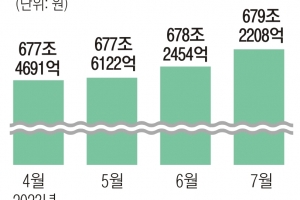 5대 은행 주담대, 한 달새 1조 늘어