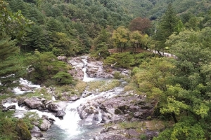 가평 연인산 계곡길, 산림청 선정 ‘걷기 좋은 명품숲길’ 1위