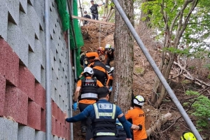 벌 피하다 15m 아래로 추락…50대 근로자 숨져