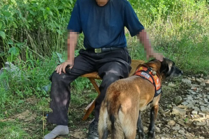 폭염 속 실종 90대 치매노인, 구조견 ‘태공’이가 찾아