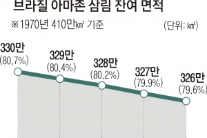 룰라 집권 후 아마존 벌채 60% 줄었다