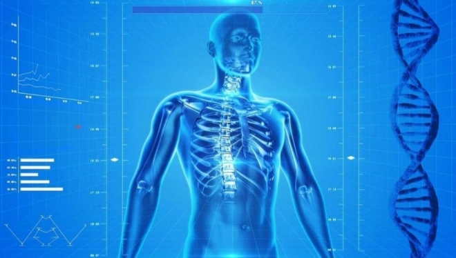 미국의 저명한 암치료센터 시티오브호프 연구팀이 증식세포핵항원(PCNA)을 표적으로 한 분자 ‘AOH 1996’의 동물 전임상 시험에 성공했다고 밝혔다(위 기사와 관련 없음). 픽사베이