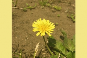 발매 7년만에 역주행…노래 주인은 ‘뉴진스 작사가’